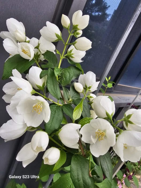 30150223e7a57330f70d39bd1135f2db_1717377