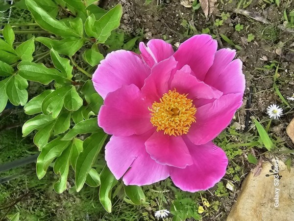 30150223e7a57330f70d39bd1135f2db_1717377