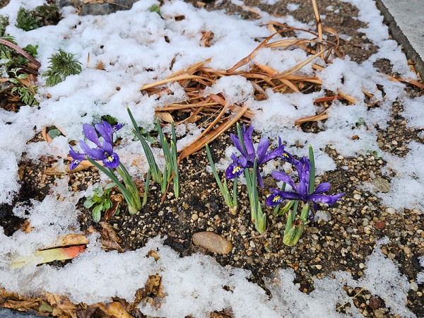 763be0fd50e1362c6c8be57c392814e6_1742371