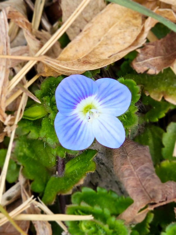 763be0fd50e1362c6c8be57c392814e6_1742371