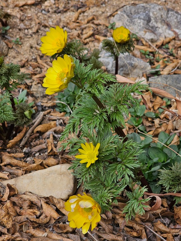 763be0fd50e1362c6c8be57c392814e6_1742371