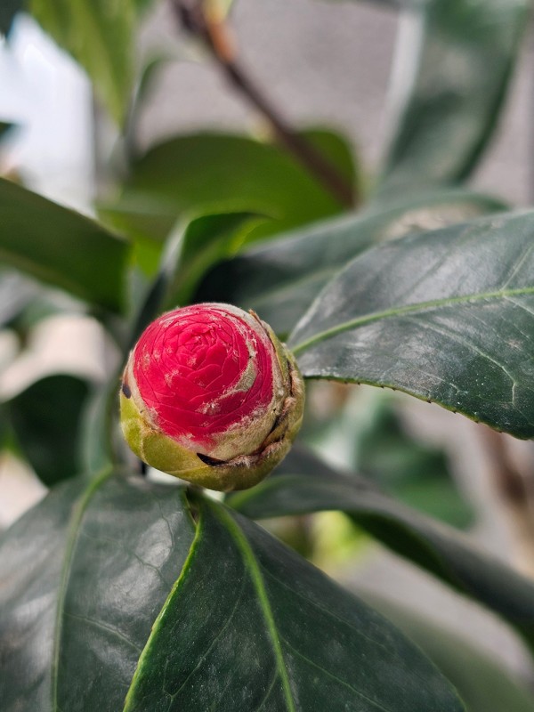 763be0fd50e1362c6c8be57c392814e6_1742371