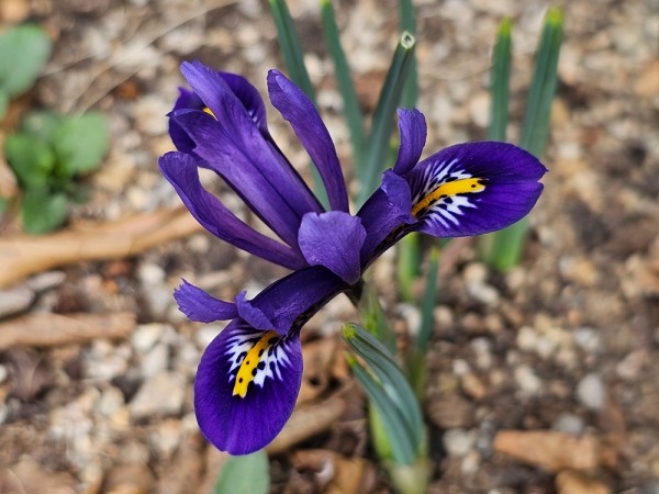 763be0fd50e1362c6c8be57c392814e6_1742371