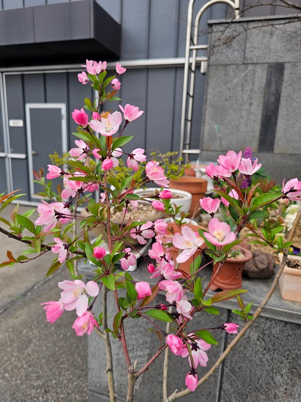 f50c9e62d4b4a3a1f8b23e1a24568369_1744941