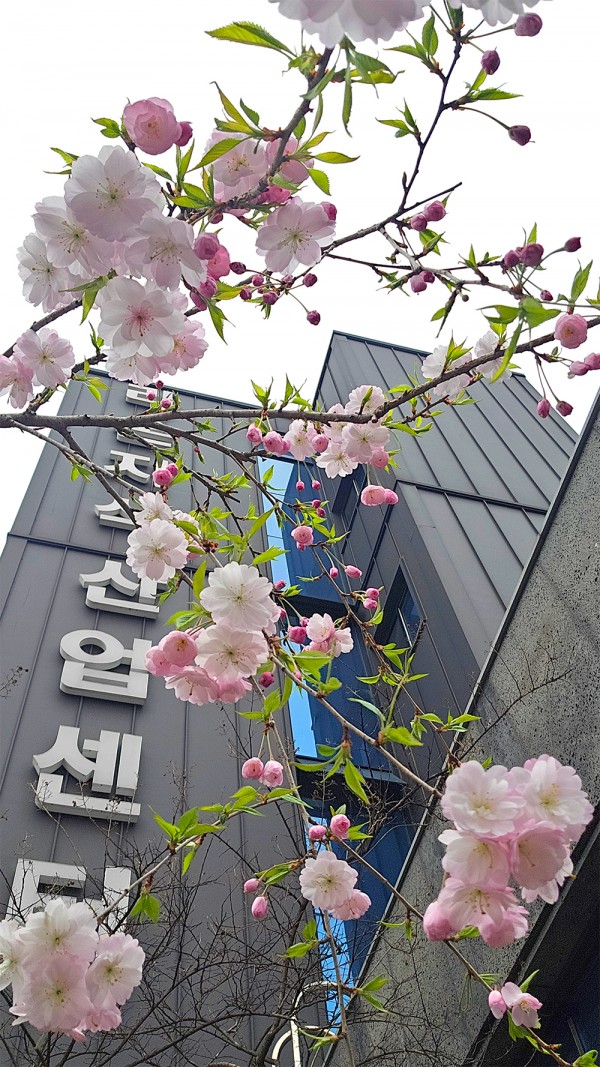 f50c9e62d4b4a3a1f8b23e1a24568369_1744941