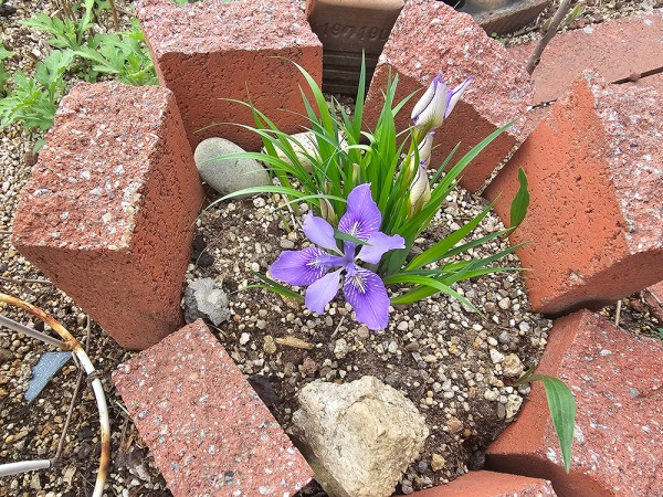 f50c9e62d4b4a3a1f8b23e1a24568369_1744941