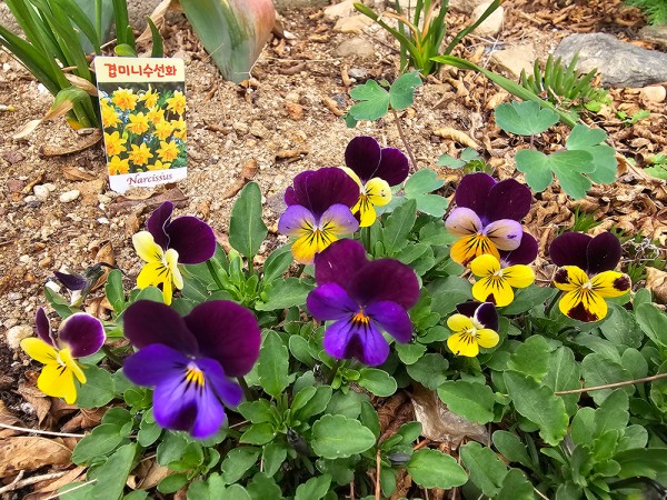 f50c9e62d4b4a3a1f8b23e1a24568369_1744941