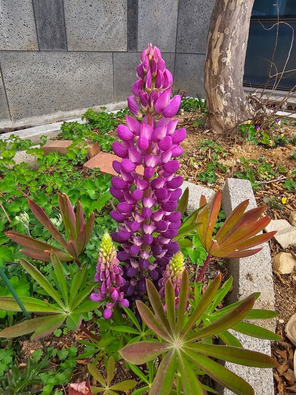 f50c9e62d4b4a3a1f8b23e1a24568369_1744941