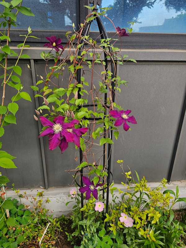 c621cc0322a1d0029e9f0e5aecd61dc8_1747795