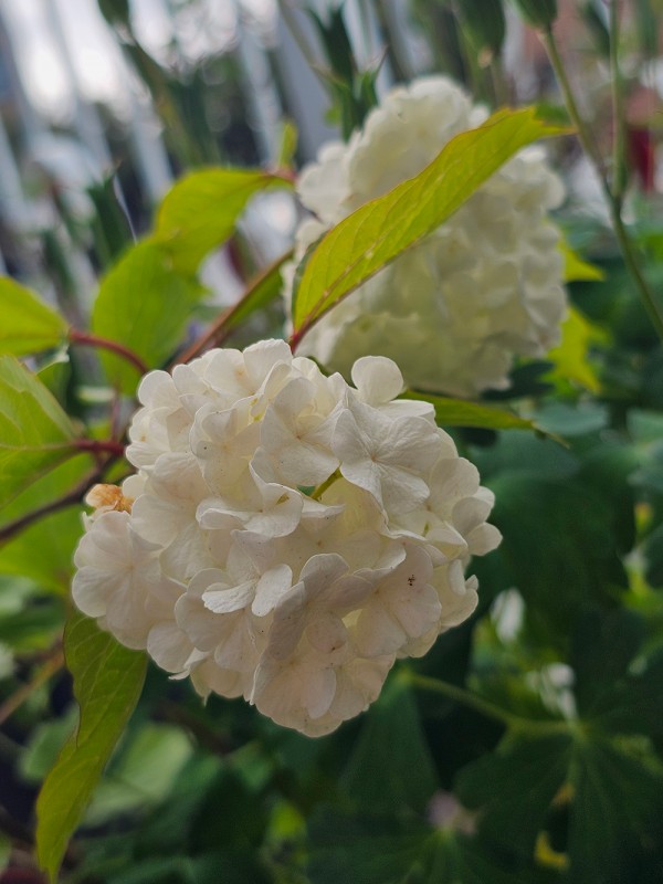 c621cc0322a1d0029e9f0e5aecd61dc8_1747795