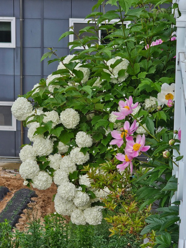 c621cc0322a1d0029e9f0e5aecd61dc8_1747795