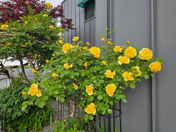 c621cc0322a1d0029e9f0e5aecd61dc8_1747795