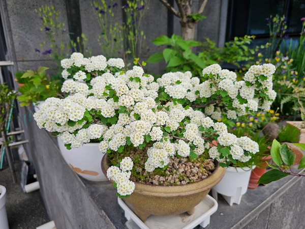 c621cc0322a1d0029e9f0e5aecd61dc8_1747795