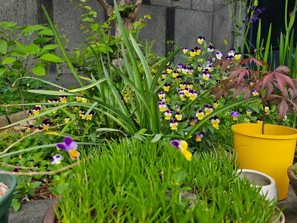 c621cc0322a1d0029e9f0e5aecd61dc8_1747795