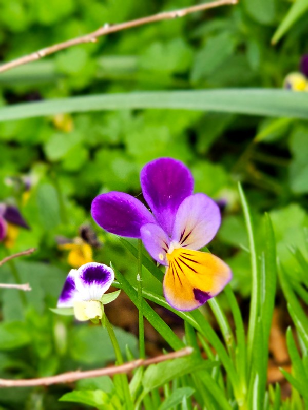 c621cc0322a1d0029e9f0e5aecd61dc8_1747795