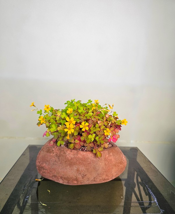 c621cc0322a1d0029e9f0e5aecd61dc8_1747795